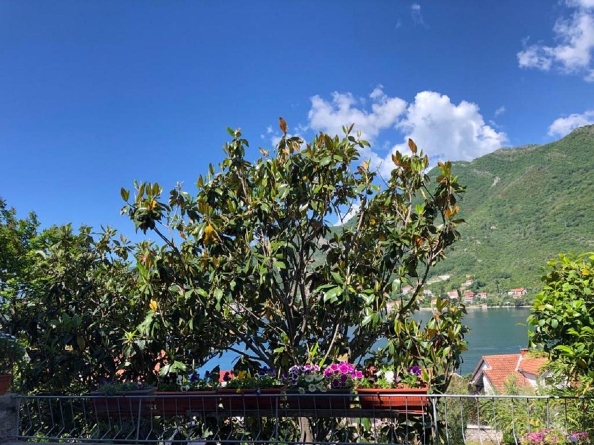 Apartments Todorovic Tivat Kültér fotó