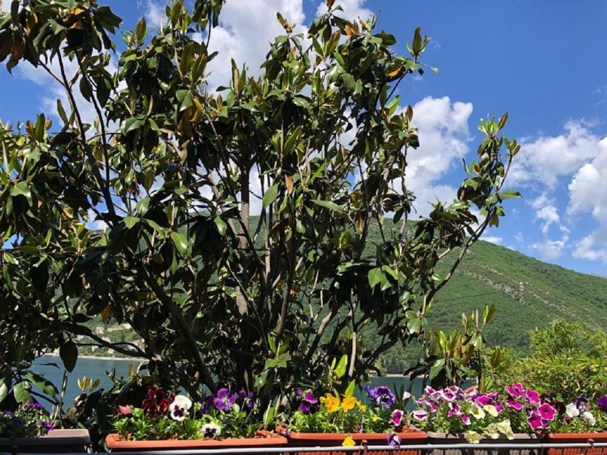 Apartments Todorovic Tivat Kültér fotó