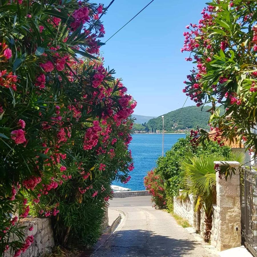Apartments Todorovic Tivat Kültér fotó